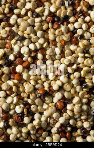 Raw Tricolor Organic Quinoa Kernals in einer Schüssel Stockfoto