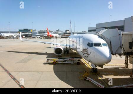 Flugzeuge vom Typ Virgin Australia Boeing 737-8FE am Flugsteig, Melbourne Airport, Tullamarine, Melbourne, Victoria, Australien Stockfoto