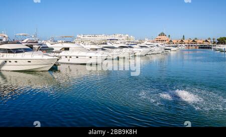 Luxusyachten im Hafen von Vilamoura, Algarve, Portugal Stockfoto