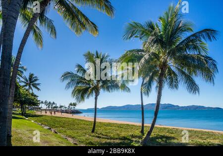 The Strand, Küstenvorland im Townsville Vorort North Ward mit Blick auf Magnetic Island, Queensland, Australien Stockfoto