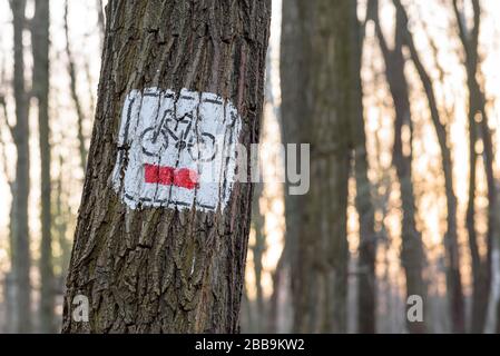 Rotes Radwegschild auf dem Baum gemalt Stockfoto