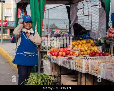 PROVINZ PICHINCHA, ECUADOR - 28. JULI 2018: Eine Frau, die auf der Seite der Straße Obst verkauft, lächelt für ein Foto. Stockfoto
