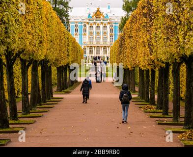 Von Bäumen gesäumte Allee, die im Herbst zum Katharinenpalast führt, mit Touristen, Tsars Village, Tsarskoe Selo, Puschkin, Russische Föderation Stockfoto