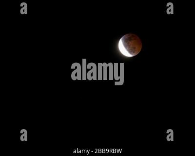 Die Mondfinsternis Super Blood Wolf Moon am 21. Januar 2019. Stockfoto