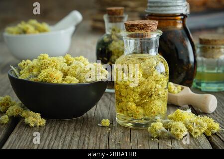 Helichrysum Arenarium Infusionsflasche und Zwerg everlast oder immortelle getrockneten Blumen in Schüssel auf Holztisch. Tinkturen und Ölflaschen im Hintergrund Stockfoto