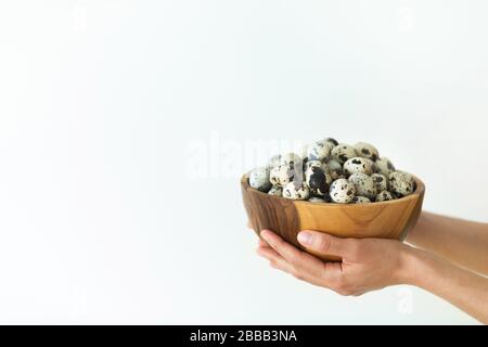 Holzplatte mit Haufen organischer Wachteleier in Frauenhand. Osterkonzept. Weißer Hintergrund. Stockfoto