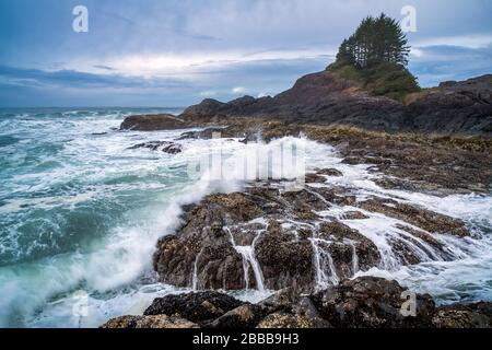 Tofino, Vancouver Island, BC, Kanada Stockfoto