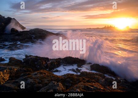 Tofino, Vancouver Island, BC, Kanada Stockfoto