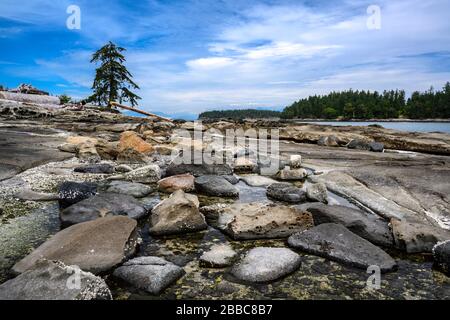 Drumbeg Park, Gabriola Island, in der Nähe von Nanaimo, Vancouver Island, BC Canada Stockfoto