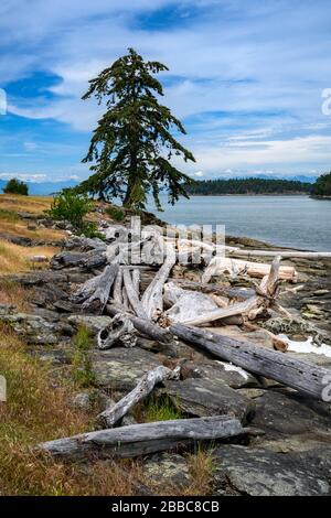 Drumbeg Park, Gabriola Island, in der Nähe von Nanaimo, Vancouver Island, BC, Kanada Stockfoto