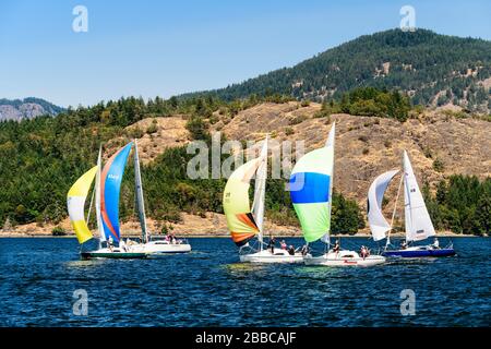 Segelboote, die während der Cowichan Bay Sailing Regatta in Cowichan Bay, British Columbia, Kanada, Rennen Stockfoto