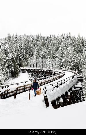 Eine Frau und ihr Hund spazieren über einen schneebespannten Kinsol Trestle in der Nähe von Shawnigan Lake, British Columbia. Stockfoto