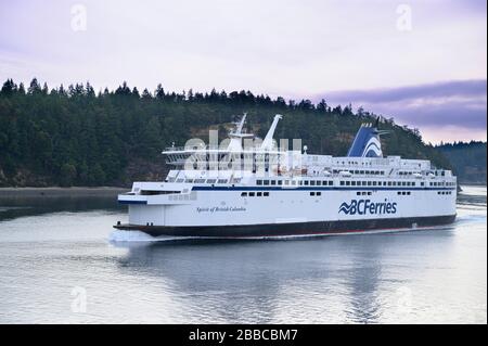 BC Ferries Spirit Class Vessel, Spirit of British Columbia transits Active Pass, Galiano Island Beyond Stockfoto