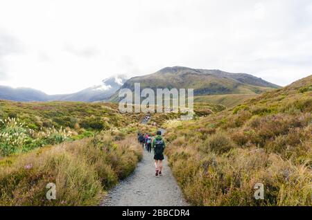 Die Menschen können auf dem Weg zum Tongariro-Nationalpark, Neuseeland, Trekking erleben Stockfoto