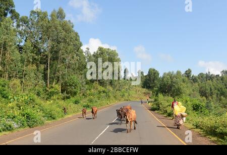 Straßenfahrt im Südwesten Äthiopiens. Stockfoto