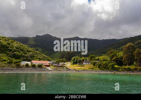 Akaroa Dorf an einem Tal bewölkt Tag, Banks Peninsula, East Coast, South Island, Neuseeland Stockfoto