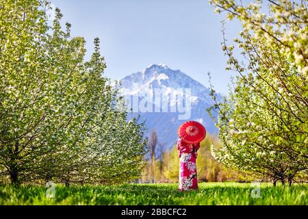 Frau im Kimono mit roten Regenschirm im Garten mit Kirschblüten am Berg Hintergrund Stockfoto