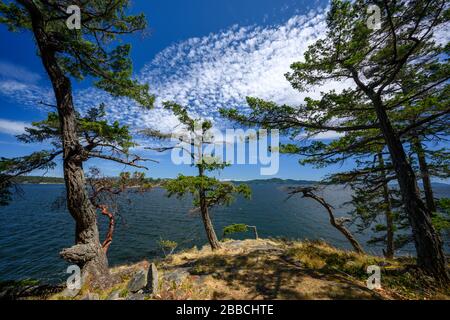 Yeo Point, Salt Spring Island, Gulf Islands, BC, Kanada Stockfoto