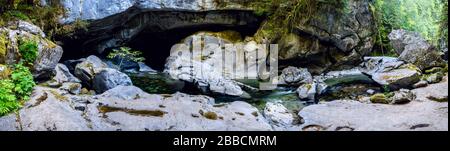 Little Huson Caves Regional Park, Vancouver Island, BC, Kanada Stockfoto