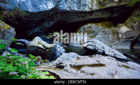 Little Huson Caves Regional Park, Vancouver Island, BC, Kanada Stockfoto