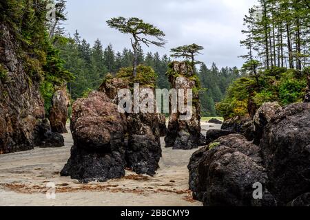 San Joseph Bay, Cape Scott Provincial Park, Vancouver Island, BC, Kanada Stockfoto