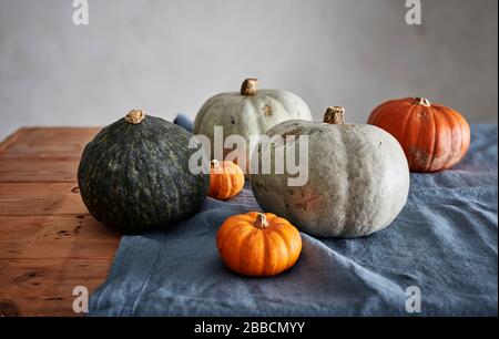 Auswahl Kürbisse Tisch rustikale Größen Stockfoto