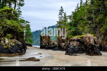 San Joseph Bay, Cape Scott Provincial Park, Vancouver Island, BC, Kanada Stockfoto