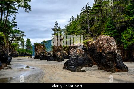 San Joseph Bay, Cape Scott Provincial Park, Vancouver Island, BC, Kanada Stockfoto