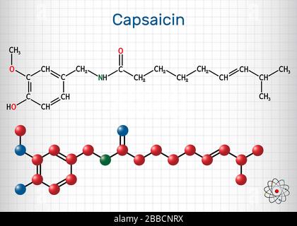 Capsaicin, Alkoid, C18H27NO3-Molekül. Es handelt sich um Chili Pfefferextrakt mit nicht narkotischen Analgetika. Strukturelle chemische Formel und Molekül m Stock Vektor