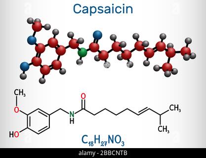 Capsaicin, Alkoid, C18H27NO3-Molekül. Es handelt sich um Chili Pfefferextrakt mit nicht narkotischen Analgetika. Strukturelle chemische Formel und Molekül m Stock Vektor