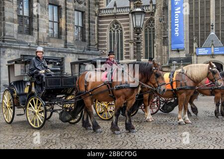 Pferdekutschen bieten Fahrten und Touren für Touristen, Dam Square, Amsterdam, Niederlande Stockfoto