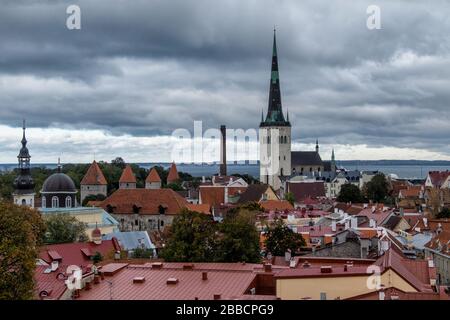 Blick auf die Altstadt mit der Oleviste Kirche, UNESCO-Weltkulturerbe, Tallinn, Estland Stockfoto