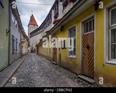 Die gepflasterte Muurivahe Straße und die mittelalterlichen Stadtmauern in der Altstadt, Tallinn, Estland Stockfoto