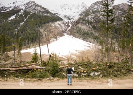 Ein Mann befragt eine Lawine der Klasse 5, die im Januar 2015 auf der 13,5 km langen Marke an der Toby Creek Road kurz hinter dem Panorama Resort in British Columbia stattfand Stockfoto