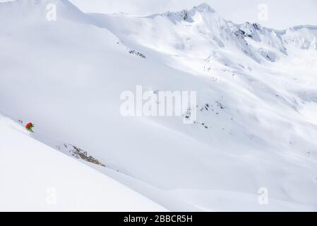 Ein Skifahrer auf pulveriger Abfahrt auf dem Farnham-Gletscher im Jumbo Valley, British Columbia Stockfoto