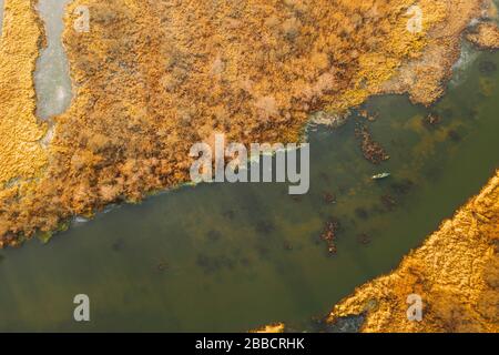 Luftaufnahme Von Trockenem Gras An Der Küste Und Teilweise Erfrorene Flusslandschaft Am Späten Herbsttag. Ansicht Mit Hoher Einstellung. Marsh Bog. Drone-Ansicht. Vogelperspektive. Stockfoto
