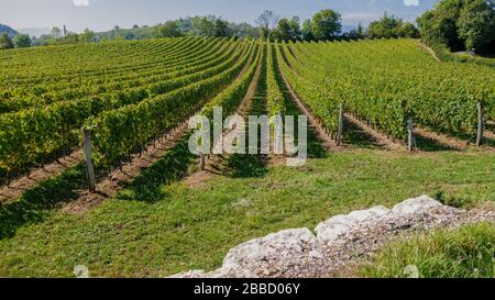 La Région du Bugey dans le département de l'Ain Stockfoto