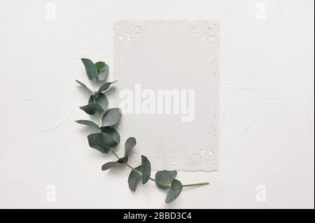 Verspotten Sie Eucalyptus-Blätter und weißes Blatt Papier mit Platz für Text auf weißem Hintergrund. Kranz aus Eukalyptuszweig. Flache Lage, Draufsicht Stockfoto