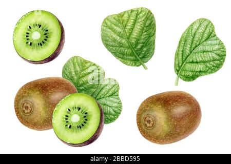 Kiwi-Fruit-Set mit Aquarell isoliert auf weißem Hintergrund Stockfoto