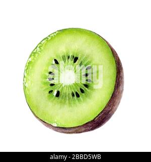 Kiwi-Fruit-Set mit Aquarell isoliert auf weißem Hintergrund Stockfoto