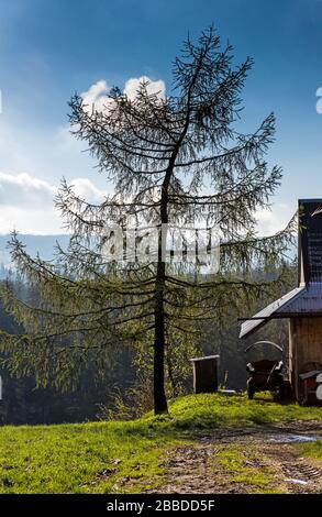 Typische Cottages in einem Tatra-Bergtal. Reisekonzept vor Ort. Polen, Tatra Stockfoto