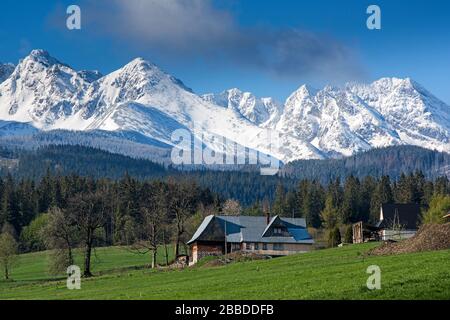 Typische Cottages in einem Tatra-Bergtal. Reisekonzept vor Ort. Polen, Tatra Stockfoto