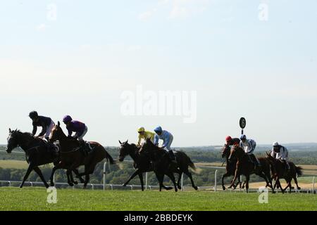 Läufer und Fahrer im Einsatz während des dritten Tages des "Glorious Goodwood Festival" 2013 auf der Rennbahn Goodwood Stockfoto