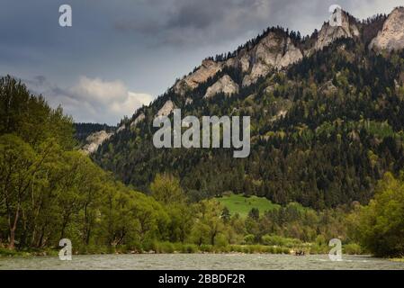 Fluss in der Nähe der Bergkuppe mit Wald. Wilde Natur. Lockal-Reise. Polen, Europa Stockfoto