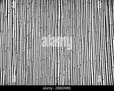 Trockenes Gras, Heu, Spitze von Weizen, Garbe, ernten, Bambustextur. Schwarz-weißer Grunge Hintergrund. EPS8. Vektorgrafiken. Stock Vektor