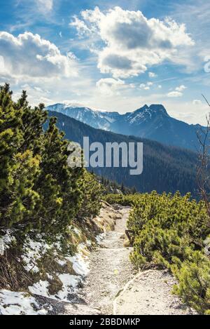 Straßen zum Wandern in den Tatra-Bergen und malerischer Blick auf die tatra-berge. Polen. Reisekonzept vor Ort Stockfoto