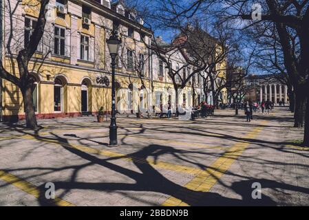 Baumschatten in der Subotica-Altstadt Stockfoto