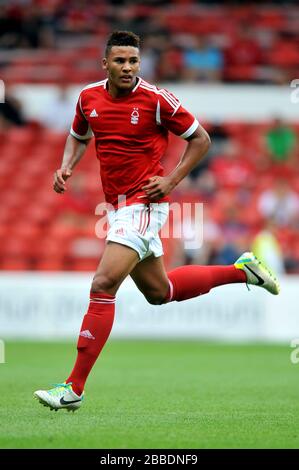 Jamaal Lascelles, Nottingham Forest Stockfoto