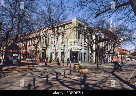 Baumschatten in der Subotica-Altstadt Stockfoto