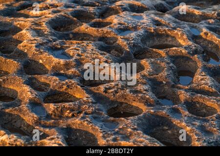 Runde Löcher mit Wasser in sedimentären Felsen Stockfoto